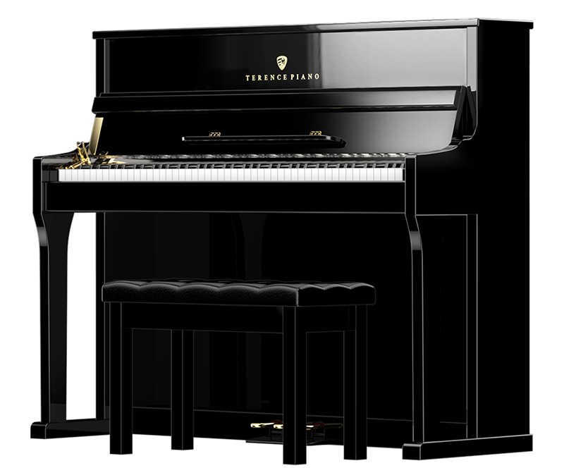 探索特倫斯電鋼琴的魅力世界